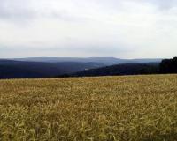 Anfang-13