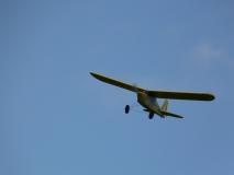 CnF-11-31