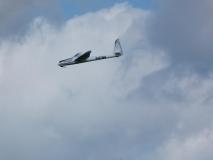 CnF-11-74