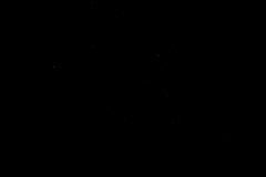 CnF-13-110