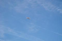 CnF-1-73