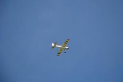 CnF-1-74
