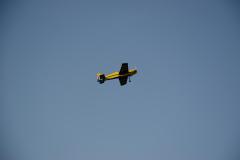 CnF-1-83