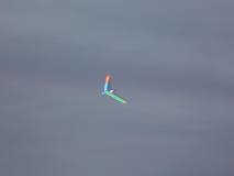 Cnf-100
