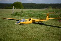 Cnf-29