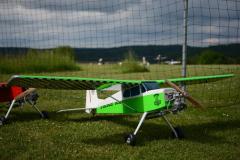 Cnf-41