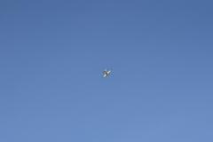 SK7_7922