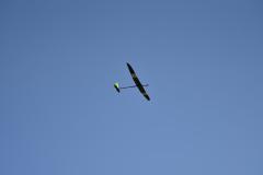 SK7_8159