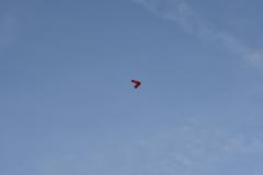 SK7_8178