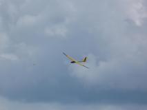 CnF-12-2