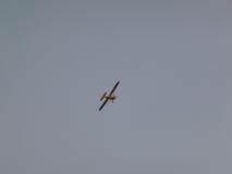 CnF-12-43