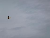 CnF-12-44