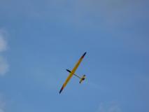 CnF-12-6