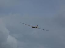 CnF-12-7