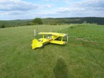 CnF-175