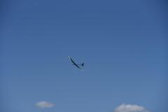 CF-25-4