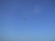 Flugtag02-62