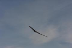 Hangflug-23
