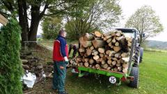 Holz-16-1