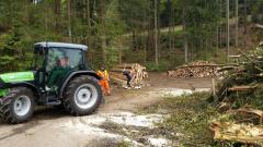 Holz-16-11