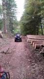 Holz-16-16