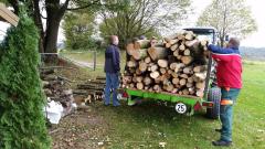 Holz-16-17