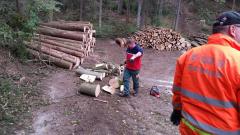 Holz-16-2