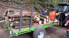 Holz-16-21