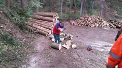 Holz-16-3