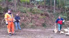Holz-16-7