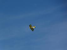 Nuri-10-1