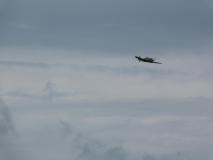 Warbirdmeeting-183