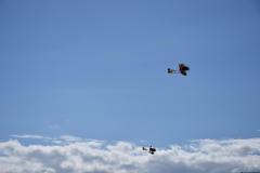 Warbirdmeeting-66