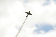 Prowing-56