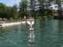 Wasserflug-07