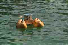 Wasserflug-07-10