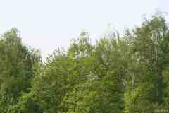 Wasserflug-07-108