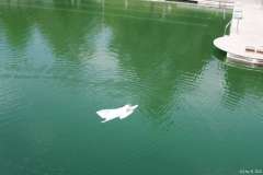 Wasserflug-07-118