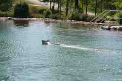 Wasserflug-07-142