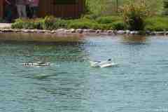 Wasserflug-07-193