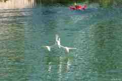 Wasserflug-07-42