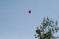 Wasserflug-07-47