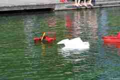 Wasserflug-07-52