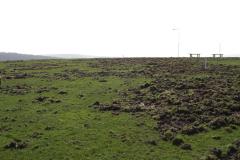 Wildschaden-08-8