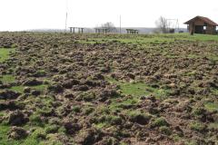 Wildschaden-08-9